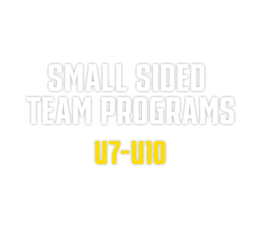 SMALL SIDED TEAM PROGRAMS